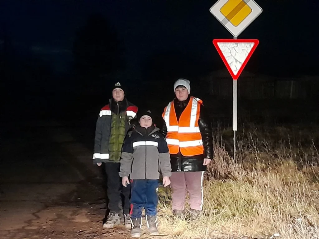 Дорожная безопасность, Сайт ГБОУ СОШ пос. Красный Строитель Челно-Вершинского района Самарской области